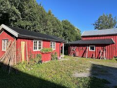 img 1688