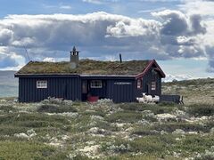 img 2158