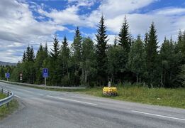 img 3148