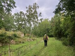 img 4164