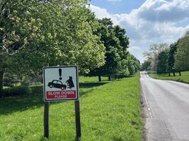 img 7167