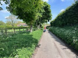 img 7181