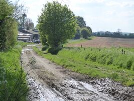 img 7252