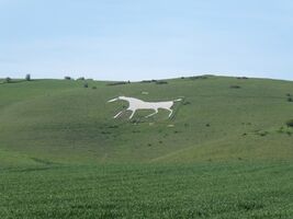 img 7254
