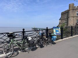 img 7354
