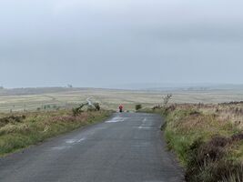 img 7491