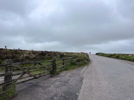 img 7497