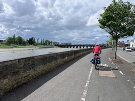 img 7528