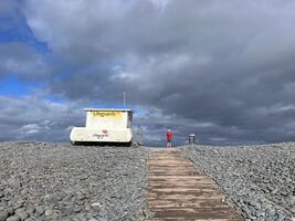 img 7564
