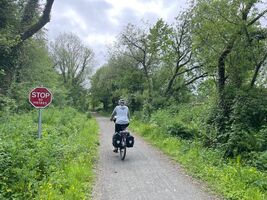 img 7568