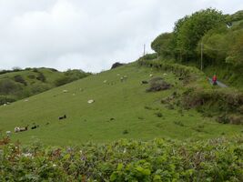img 7694