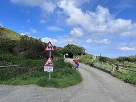 img 7730