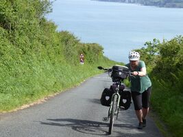 img 7773