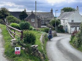 img 7802