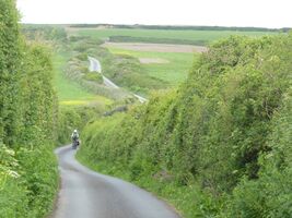 img 7895