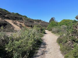 img 7968