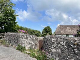 img 7989