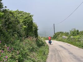 img 8028