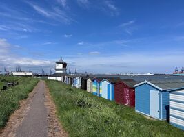 img 8596