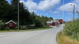 visnes1