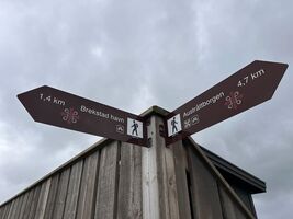 img 8579