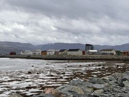 img 8584