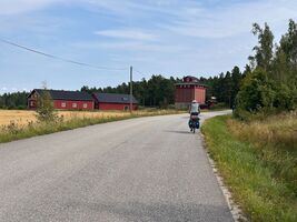 36