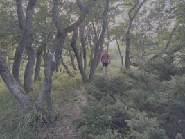img 8672