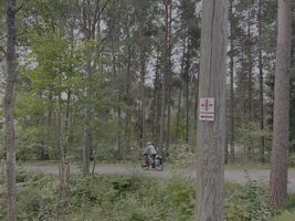 img 9373