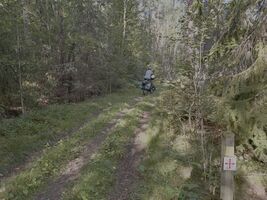 img 9488