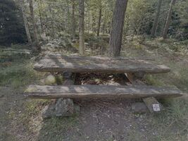 img 9493
