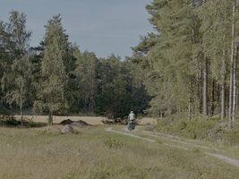 img 9497