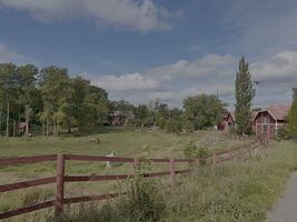 img 9521