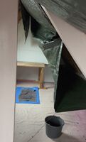 img 9557