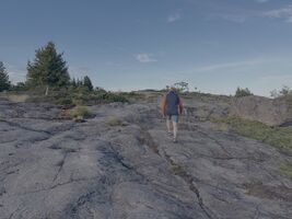 img 9584