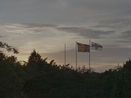 img 9633