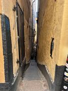 img 9768