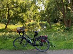 Ruigeplaatbos IJsselmonde