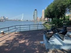 Erasmusbrug, Kop van Zuid, IJsselmonde
